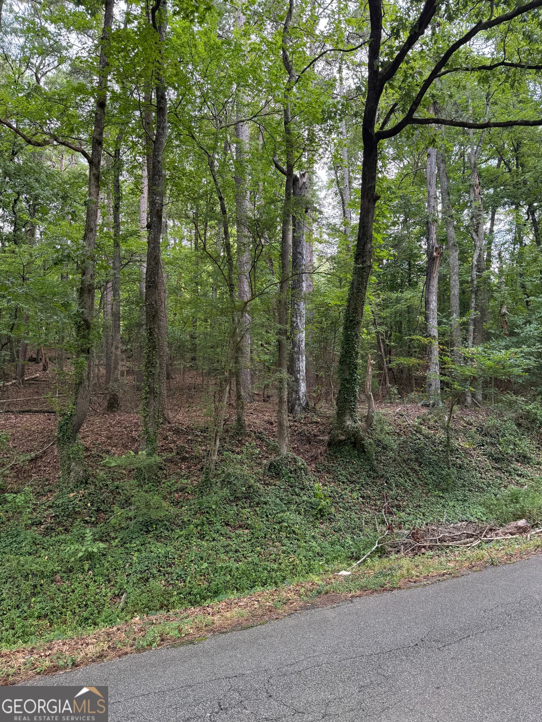 residential lot for sale at 0 Callier Springs Road, Rome, GA 30161 — photo 5
