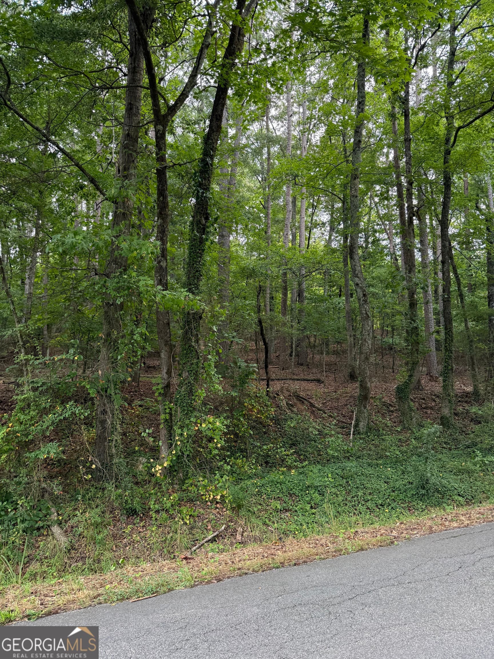 residential lot for sale at 0 Callier Springs Road, Rome, GA 30161 — photo 4
