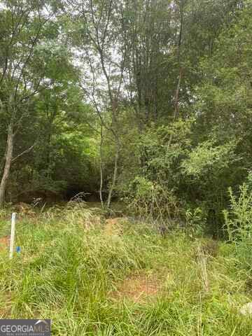 residential lot for sale at 0 River Birch Lane TRACT 9, Colbert, GA 30628 — photo 2