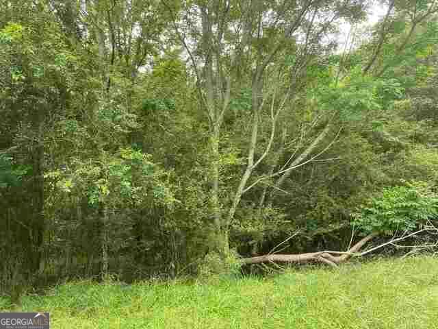 residential lot for sale at 0 River Birch Lane TRACT 9, Colbert, GA 30628 — photo 1 of 2
