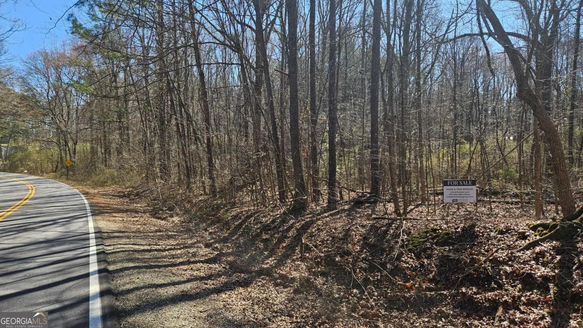 unimproved land for sale at 0 Cook Drive, Ellenwood, GA 30294 — photo 2