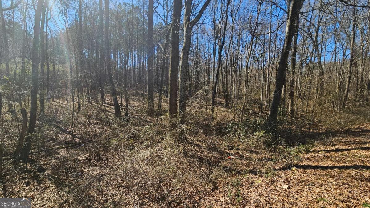 unimproved land for sale at 0 Cook Drive, Ellenwood, GA 30294 — photo 6