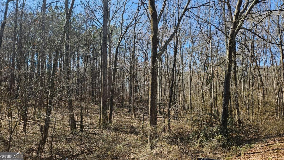 unimproved land for sale at 0 Cook Drive, Ellenwood, GA 30294 — photo 7