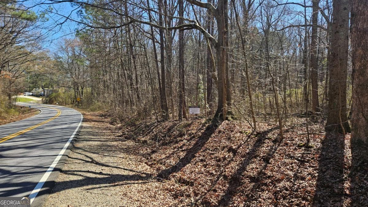 unimproved land for sale at 0 Cook Drive, Ellenwood, GA 30294 — photo 1 of 8