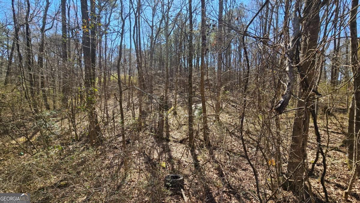 unimproved land for sale at 0 Cook Drive, Ellenwood, GA 30294 — photo 5