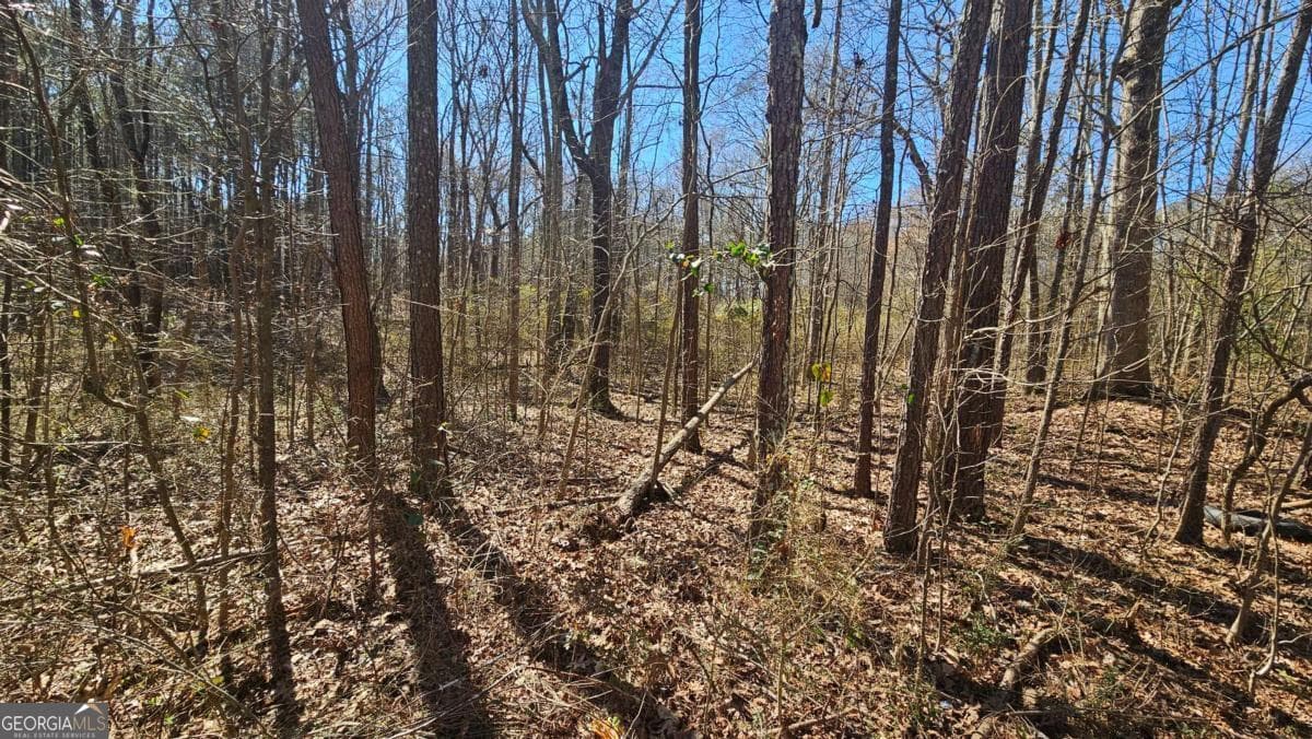 unimproved land for sale at 0 Cook Drive, Ellenwood, GA 30294 — photo 4