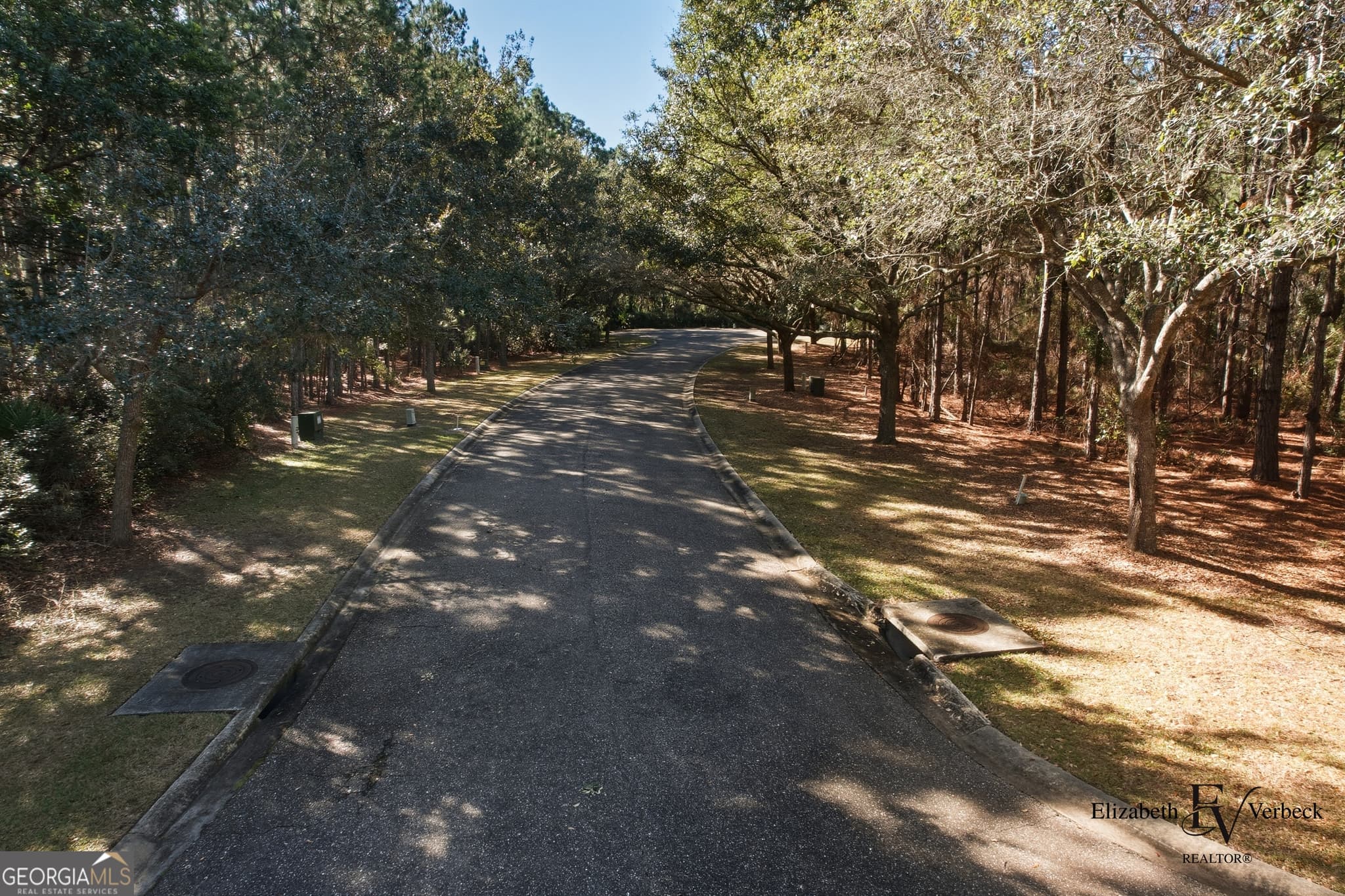 residential lot for sale at V/L 238 Lateral Buoy Lane, St. Marys, GA 31558 — photo 6