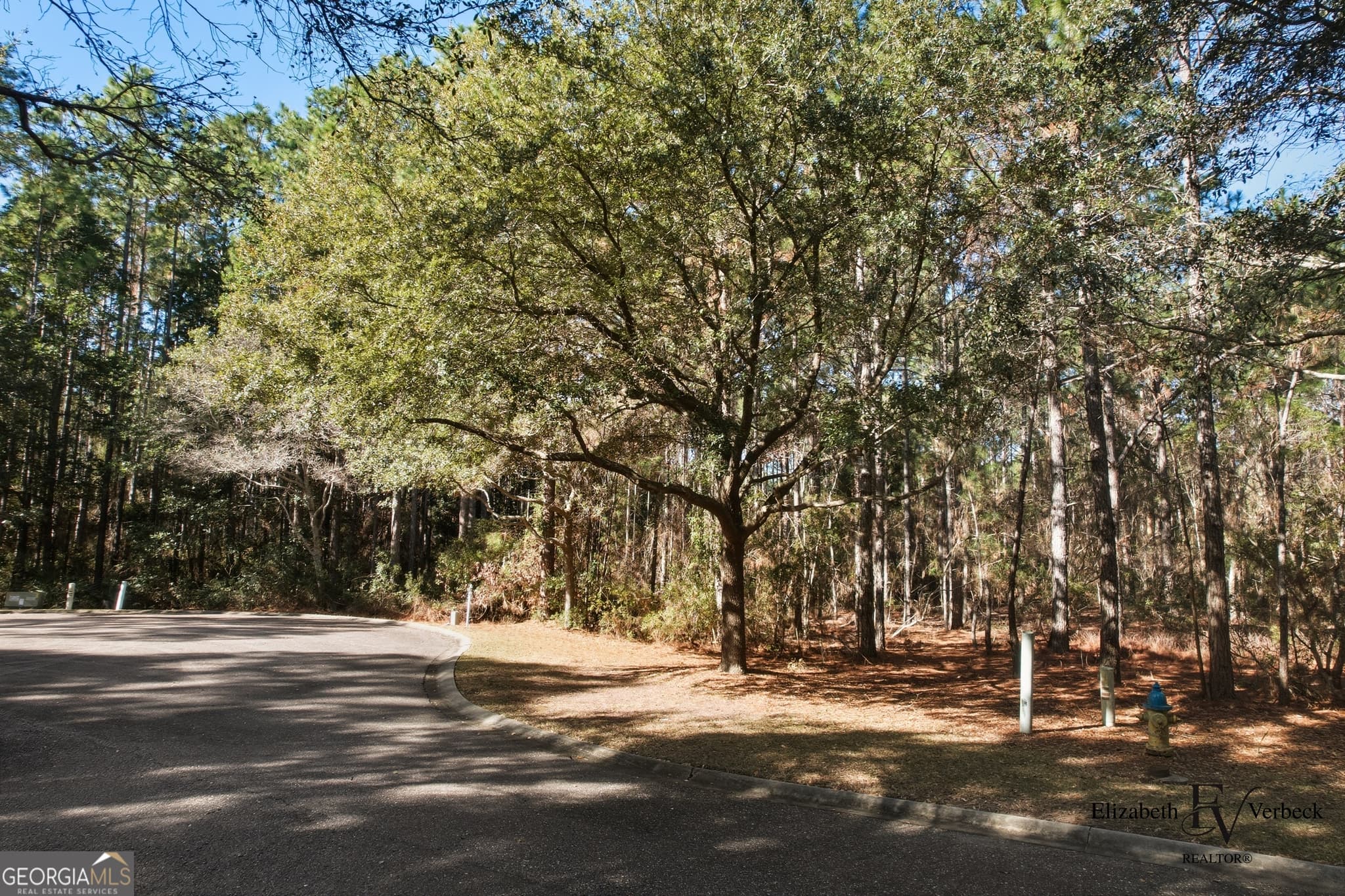 residential lot for sale at V/L 238 Lateral Buoy Lane, St. Marys, GA 31558 — photo 7