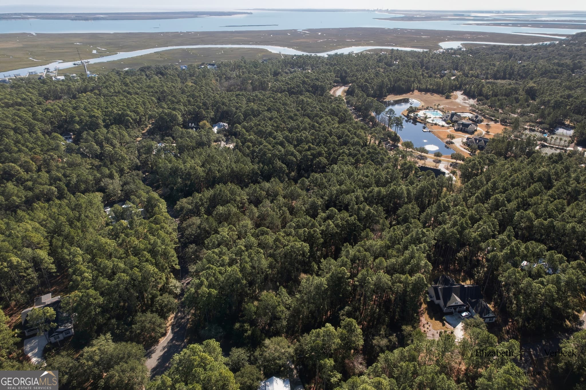residential lot for sale at V/L 238 Lateral Buoy Lane, St. Marys, GA 31558 — photo 3
