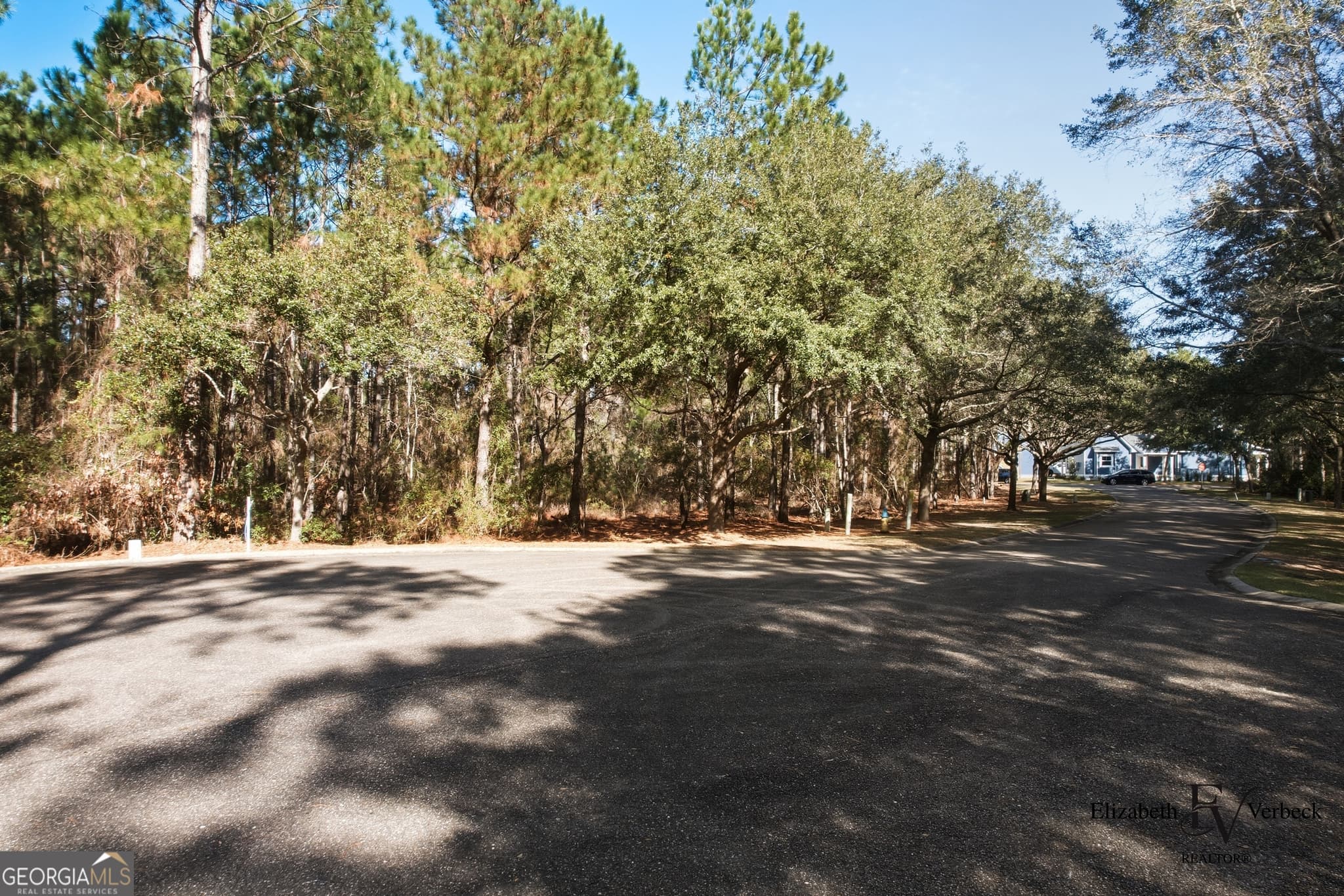 residential lot for sale at V/L 238 Lateral Buoy Lane, St. Marys, GA 31558 — photo 9