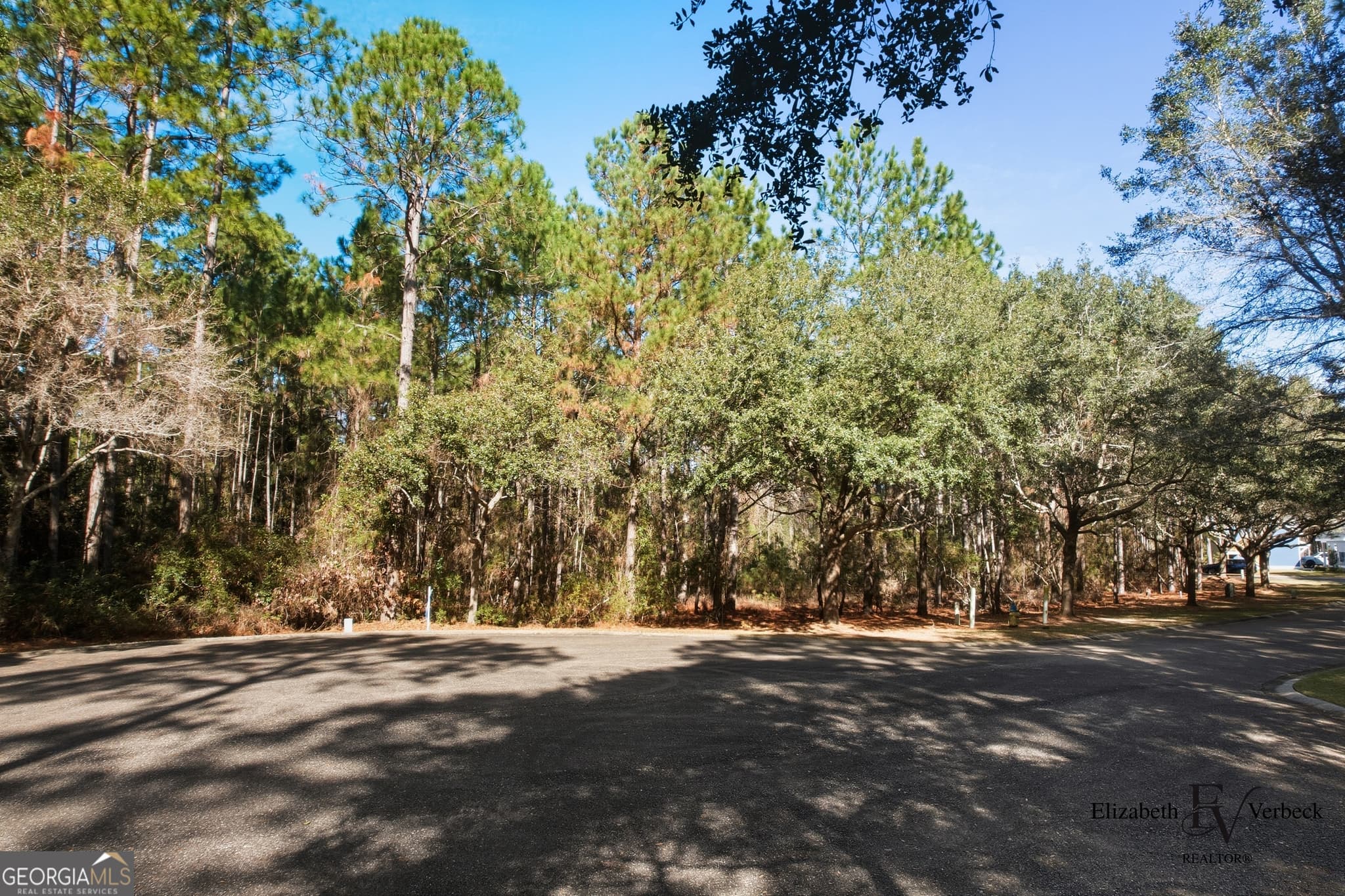 residential lot for sale at V/L 238 Lateral Buoy Lane, St. Marys, GA 31558 — photo 10