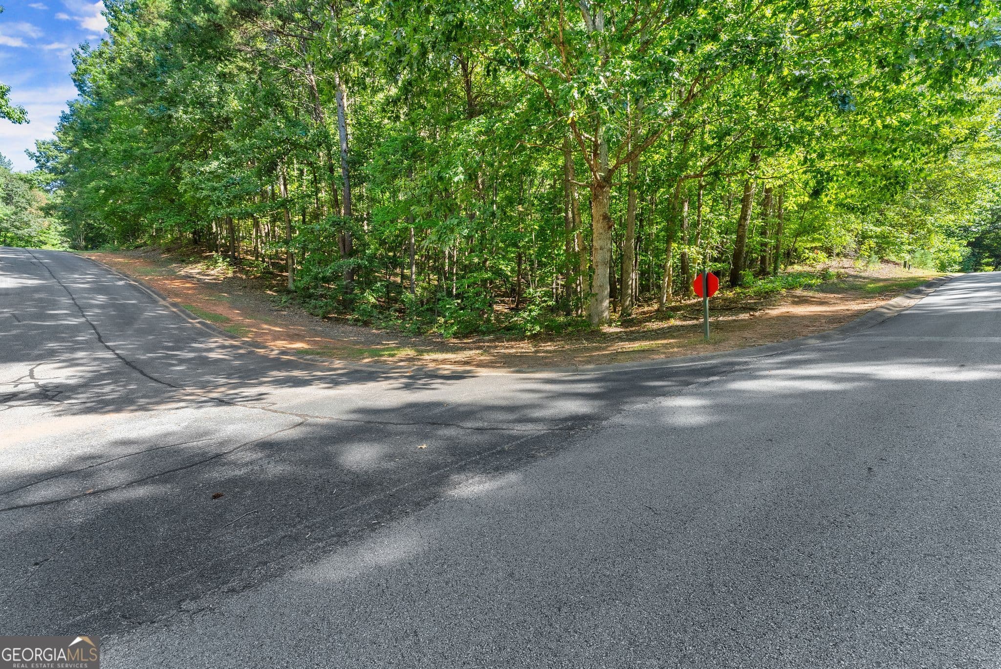 residential lot for sale at 786 Cherry Court 718, Clarkesville, GA 30523 — photo 2