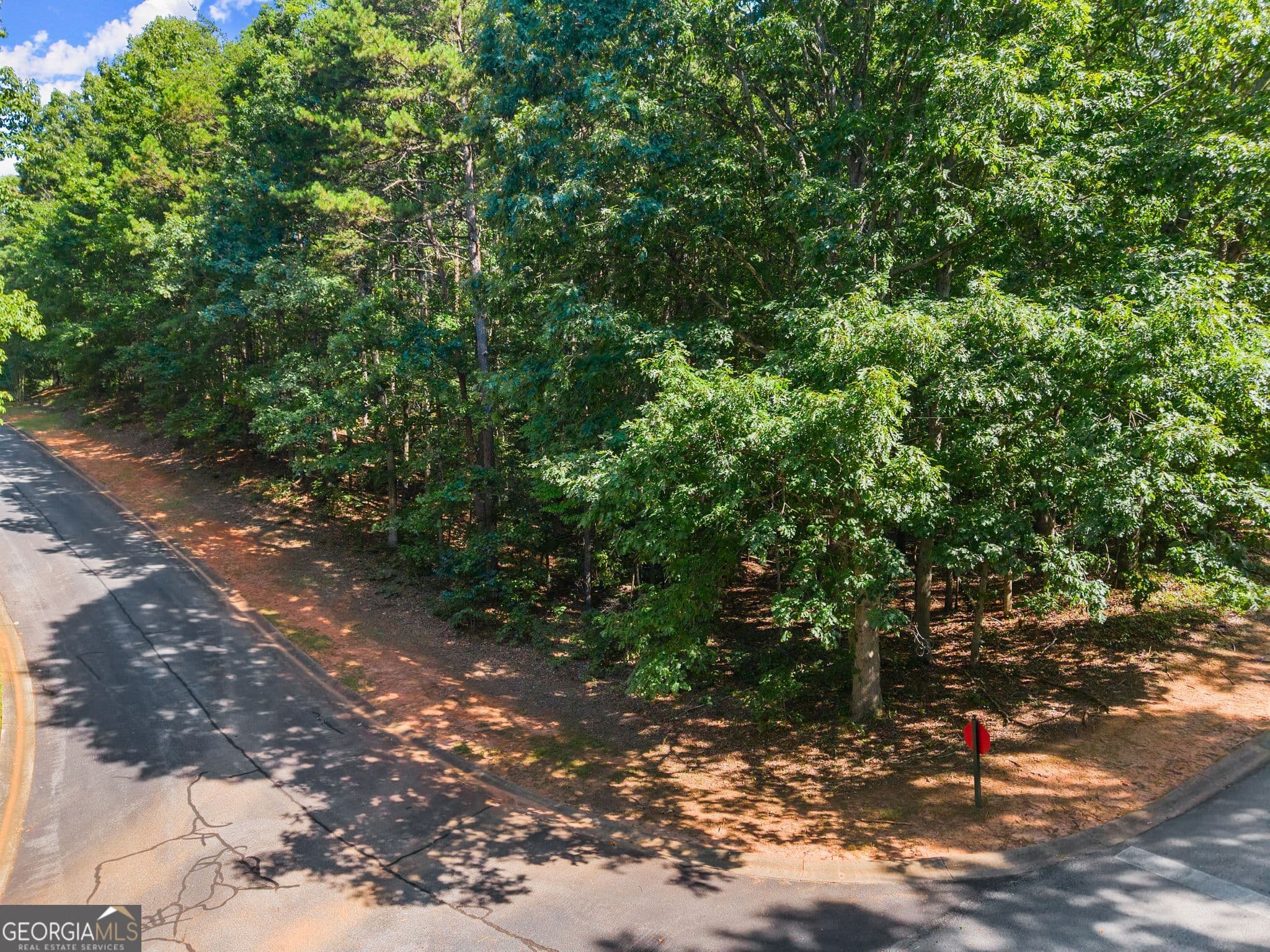 residential lot for sale at 786 Cherry Court 718, Clarkesville, GA 30523 — photo 6