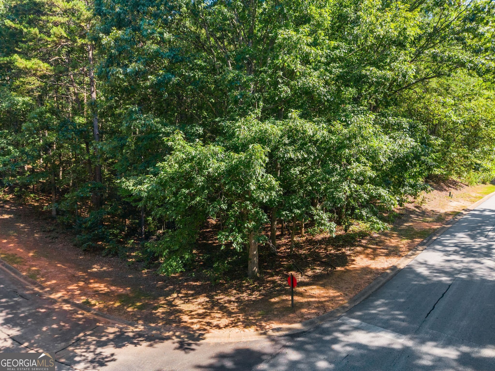 residential lot for sale at 786 Cherry Court 718, Clarkesville, GA 30523 — photo 7