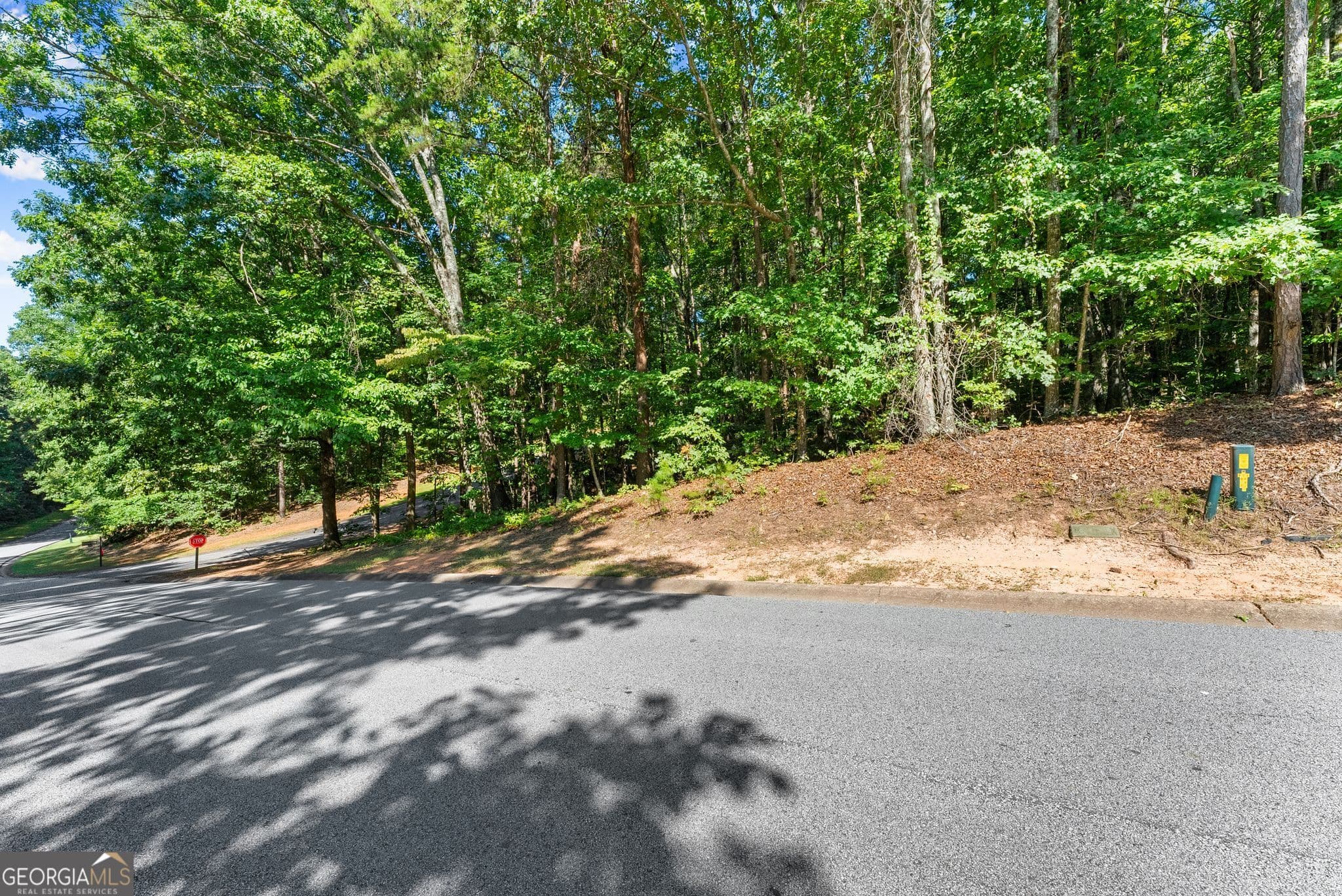 residential lot for sale at 786 Cherry Court 718, Clarkesville, GA 30523 — photo 3