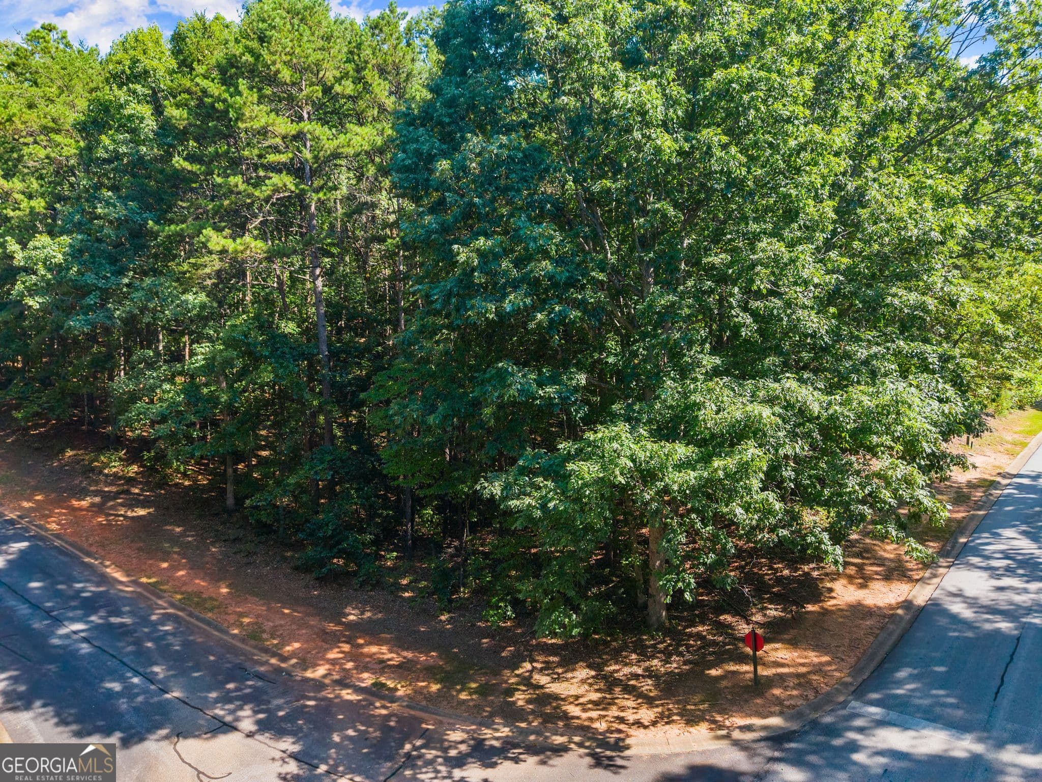 residential lot for sale at 786 Cherry Court 718, Clarkesville, GA 30523 — photo 5