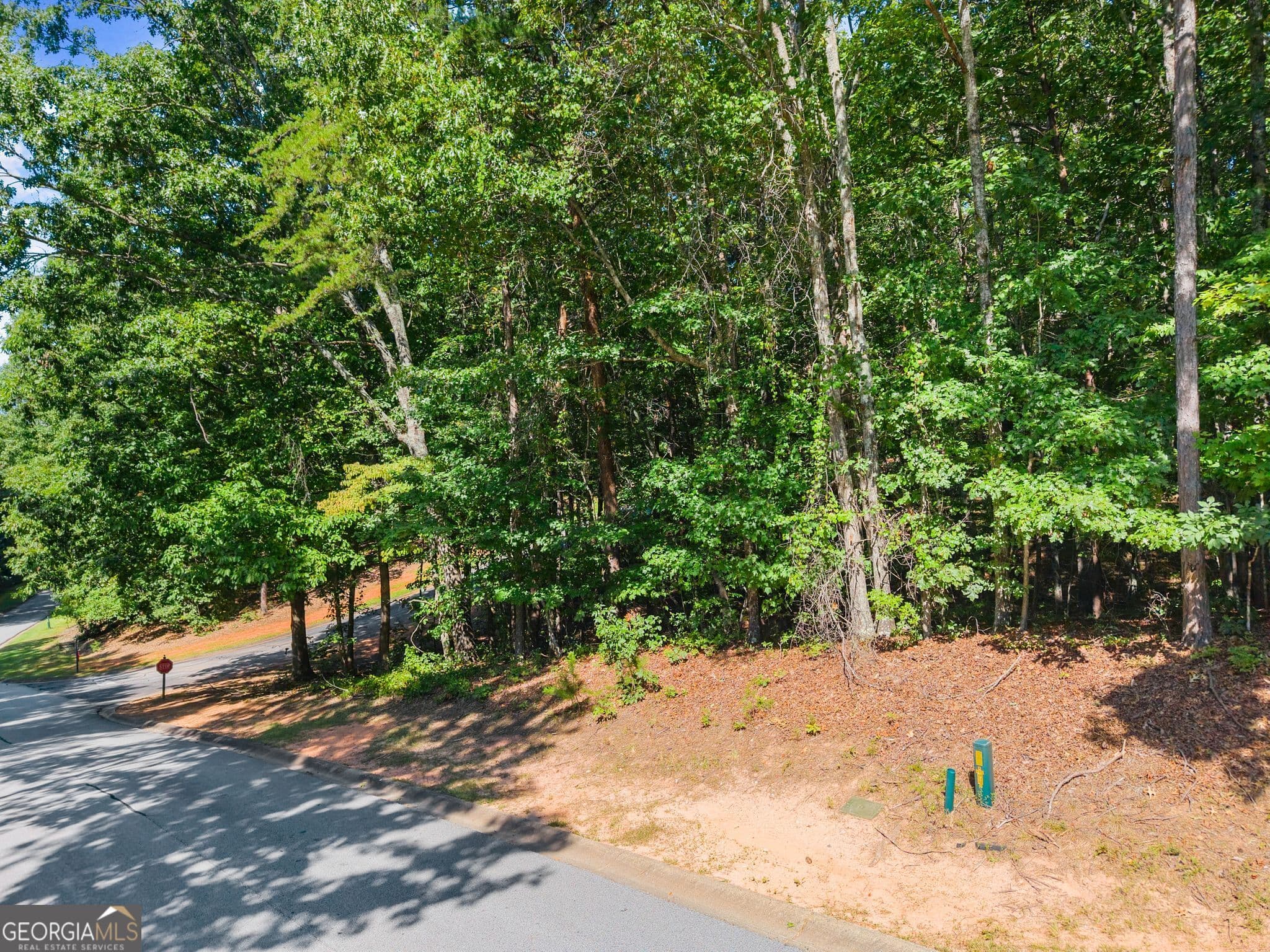 residential lot for sale at 786 Cherry Court 718, Clarkesville, GA 30523 — photo 9