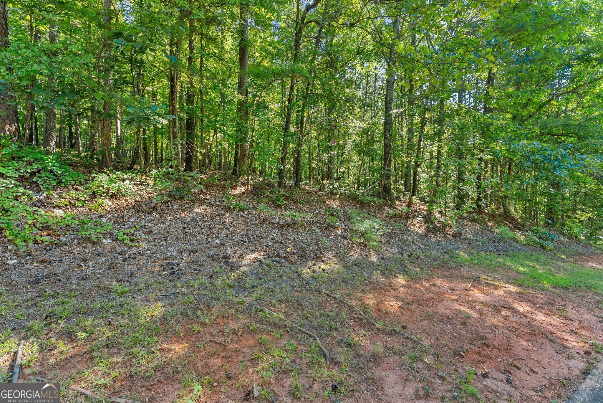residential lot for sale at 786 Cherry Court 718, Clarkesville, GA 30523 — photo 10