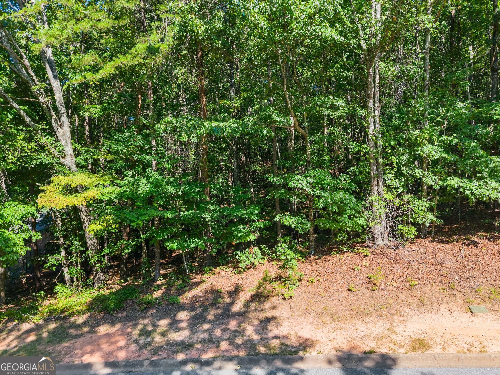 residential lot for sale at 786 Cherry Court 718, Clarkesville, GA 30523 — photo 8