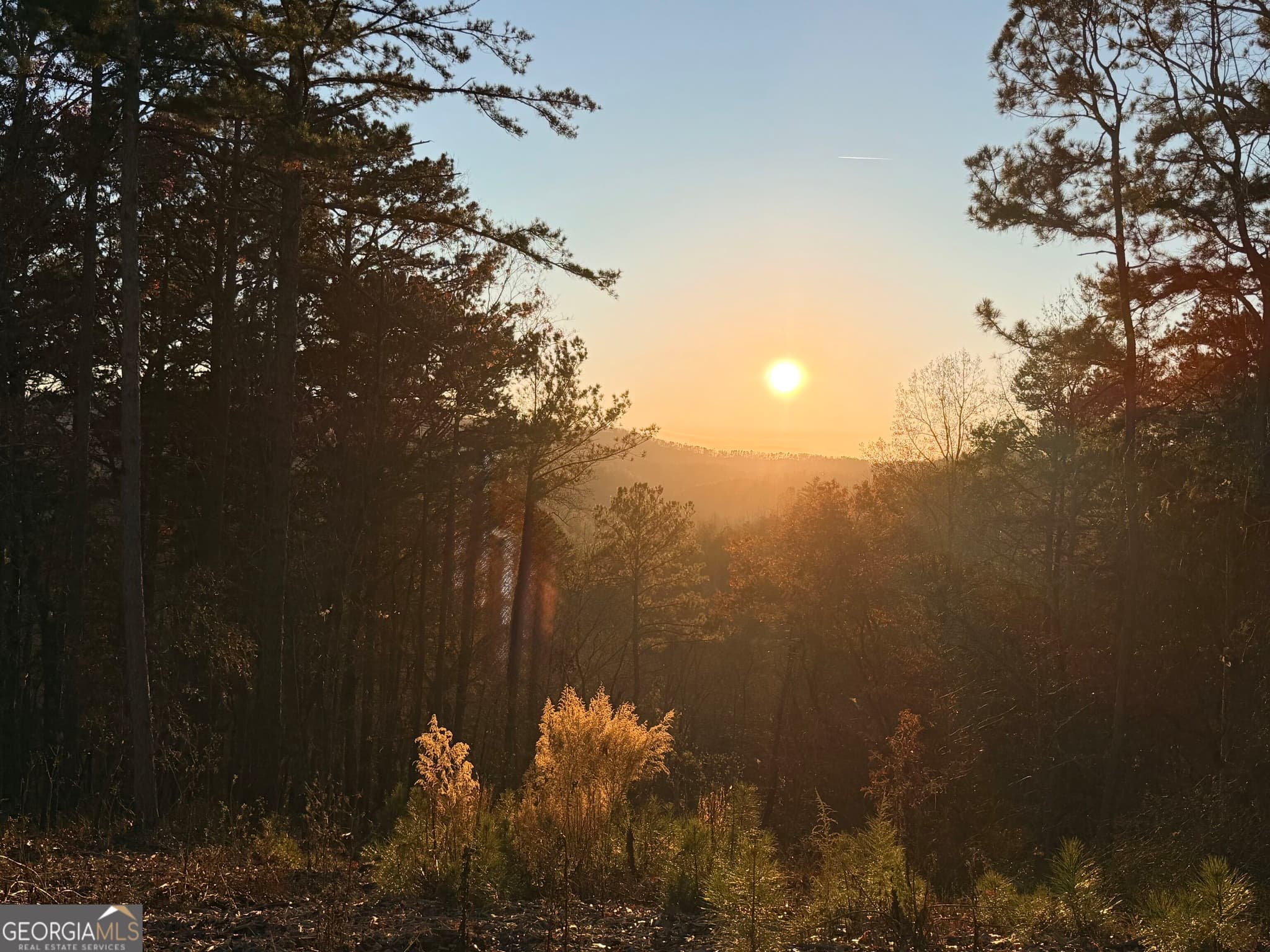 agriculture for sale at 0 CANOE Way, Talking Rock, GA 30175 — photo 2