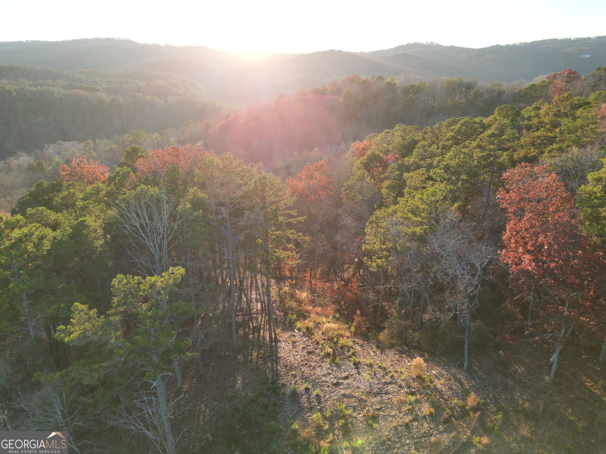 agriculture for sale at 0 CANOE Way, Talking Rock, GA 30175 — photo 7