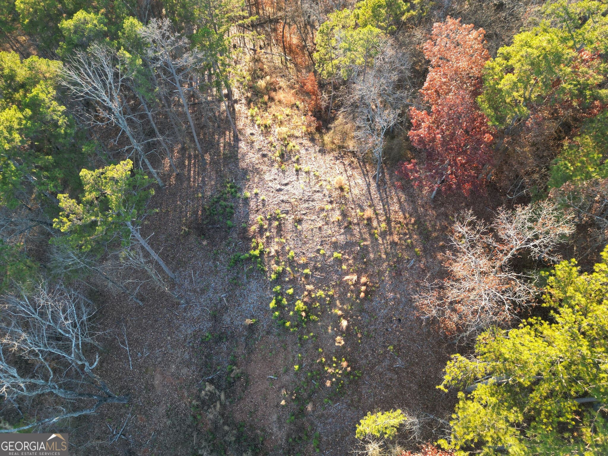 agriculture for sale at 0 CANOE Way, Talking Rock, GA 30175