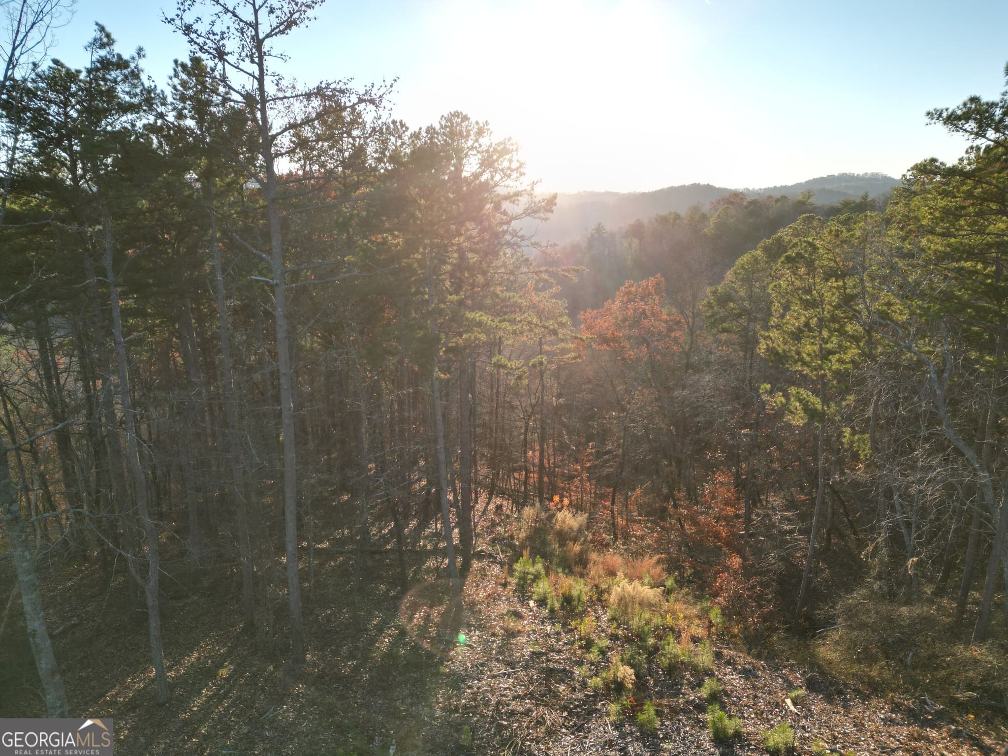 agriculture for sale at 0 CANOE Way, Talking Rock, GA 30175 — photo 5