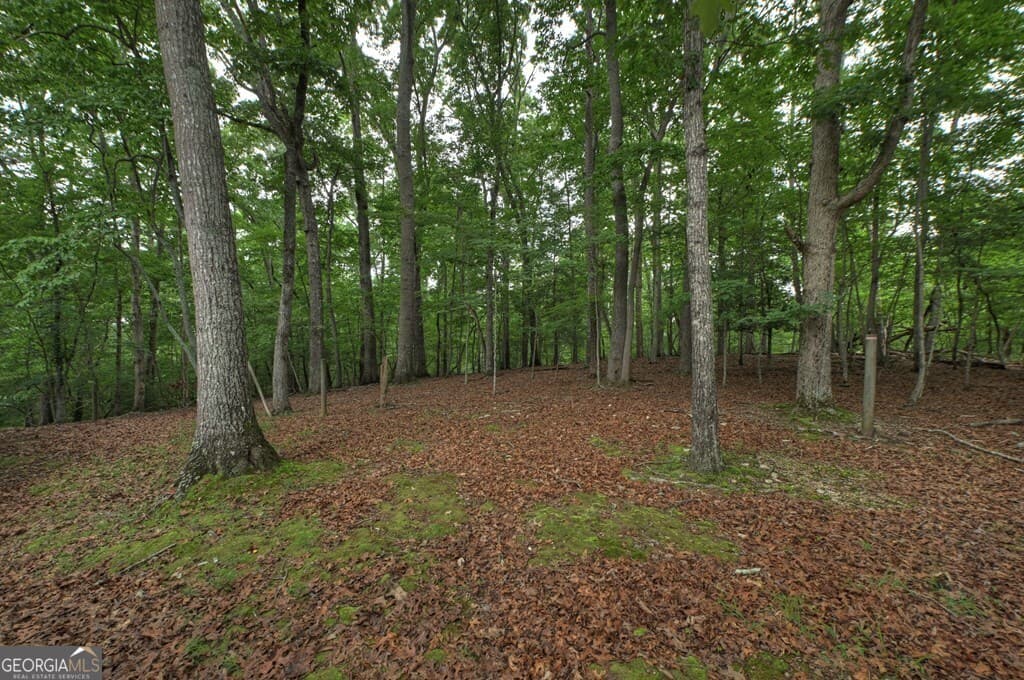 2 bedroom, 2 bathroom, 1,211 sq ft single family residence for sale at 1076 Riverview Drive # 5654, Ellijay, GA 30540 — photo 2