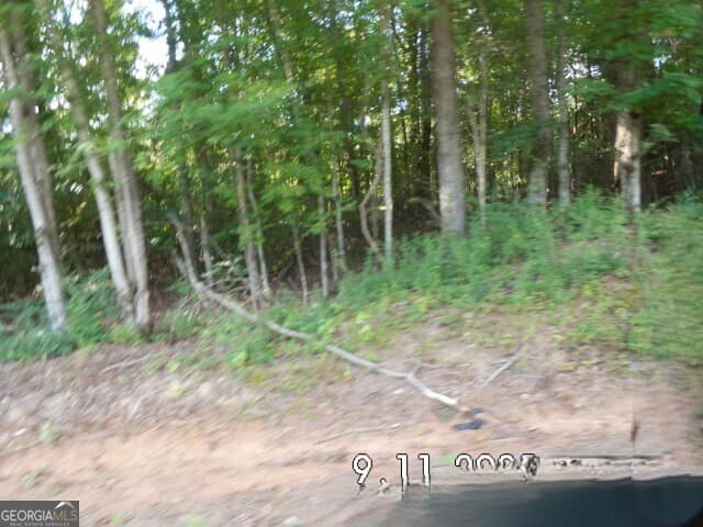 unimproved land for sale at 8.5 +/- Smith Loop, Demorest, GA 30535 — photo 6