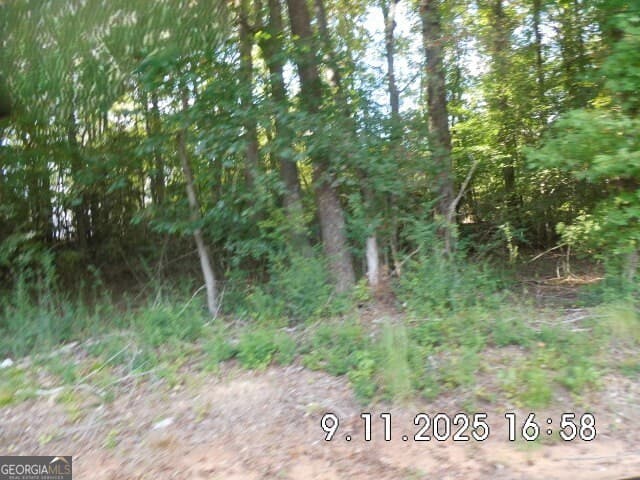 unimproved land for sale at 8.5 +/- Smith Loop, Demorest, GA 30535 — photo 7