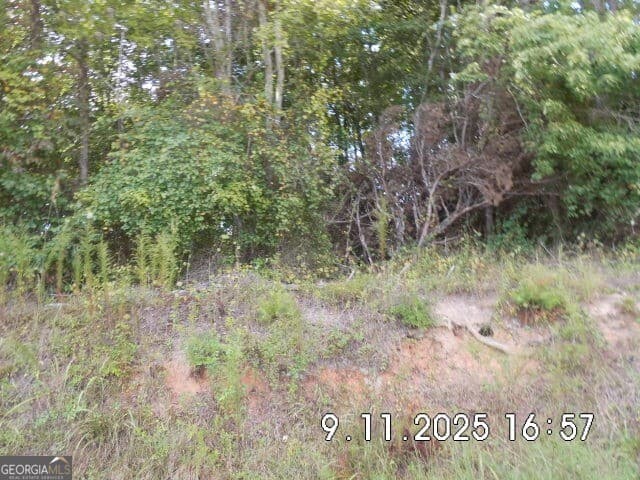 unimproved land for sale at 8.5 +/- Smith Loop, Demorest, GA 30535 — photo 4