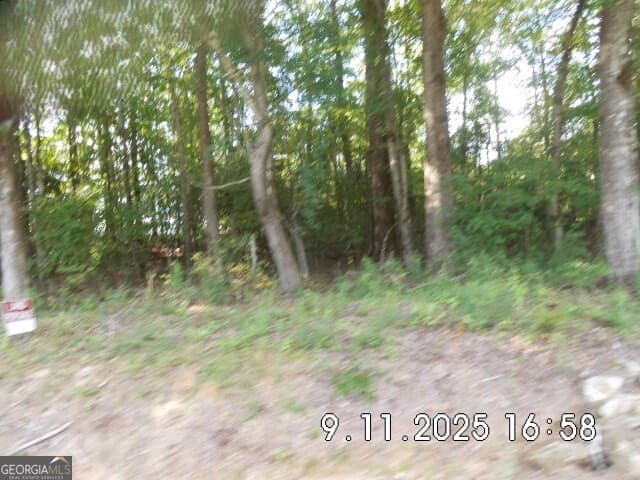 unimproved land for sale at 8.5 +/- Smith Loop, Demorest, GA 30535 — photo 8