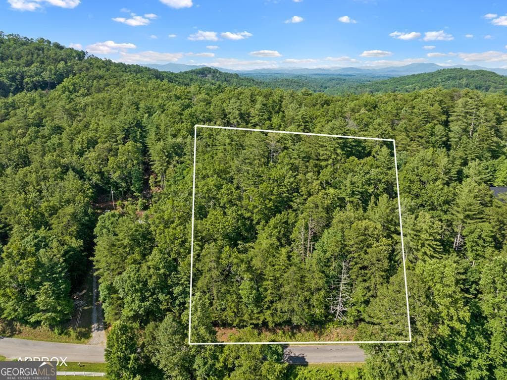 residential lot for sale at 2 AC Ritchie Creek Road, Blue Ridge, GA 30513 — photo 2