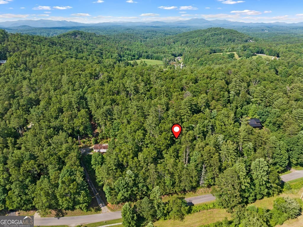 residential lot for sale at 2 AC Ritchie Creek Road, Blue Ridge, GA 30513 — photo 6