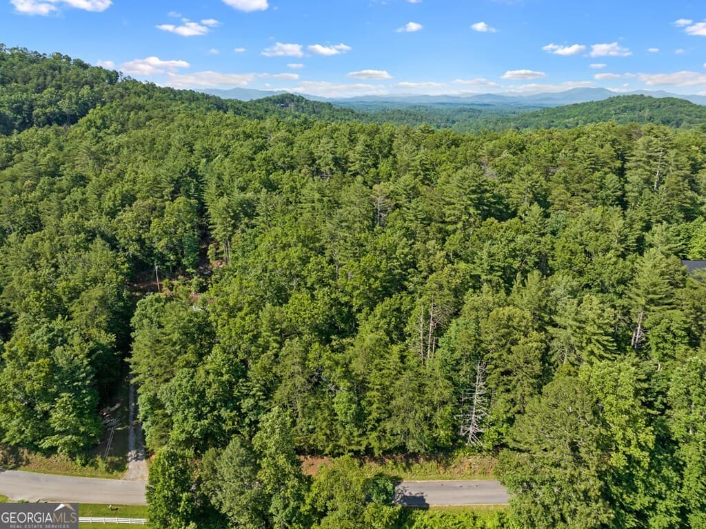 residential lot for sale at 2 AC Ritchie Creek Road, Blue Ridge, GA 30513 — photo 7