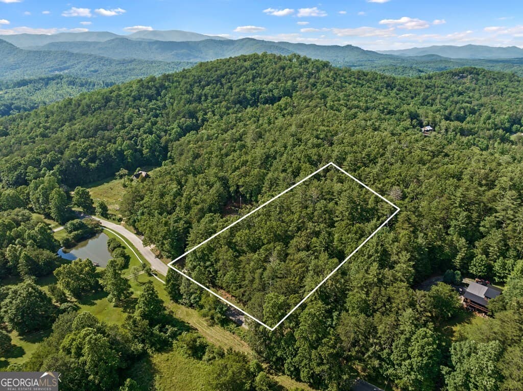 residential lot for sale at 2 AC Ritchie Creek Road, Blue Ridge, GA 30513 — photo 3