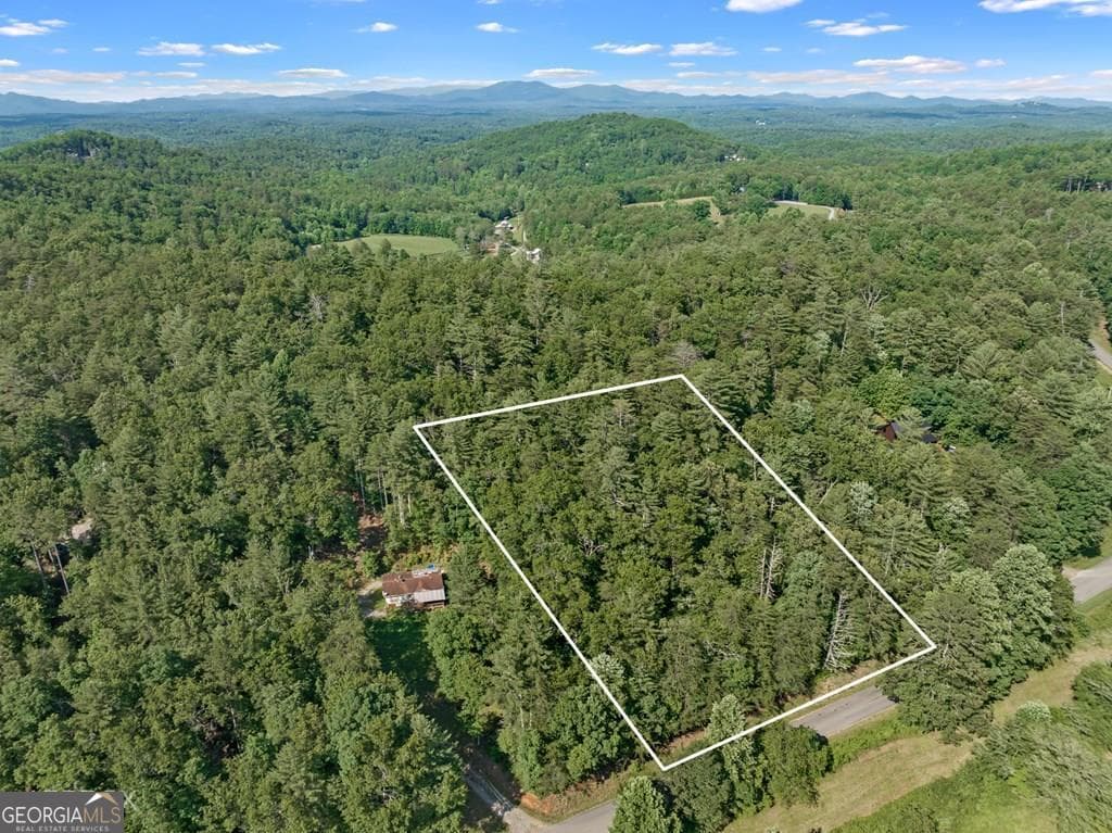 residential lot for sale at 2 AC Ritchie Creek Road, Blue Ridge, GA 30513 — photo 1 of 12