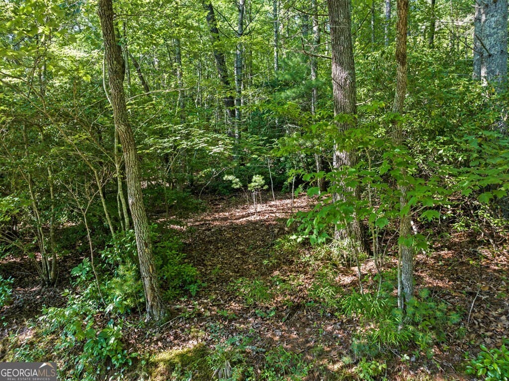 residential lot for sale at 2 AC Ritchie Creek Road, Blue Ridge, GA 30513 — photo 5
