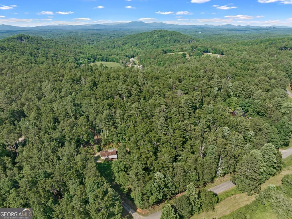 residential lot for sale at 2 AC Ritchie Creek Road, Blue Ridge, GA 30513 — photo 9
