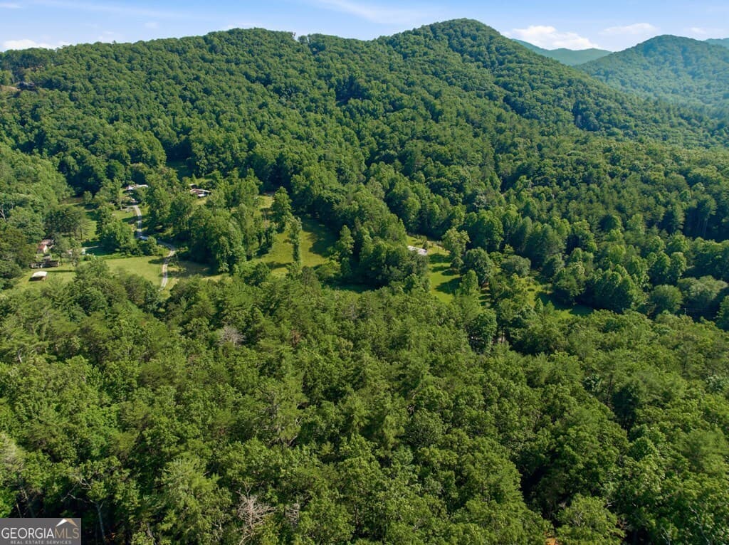 residential lot for sale at 2 AC Ritchie Creek Road, Blue Ridge, GA 30513 — photo 10