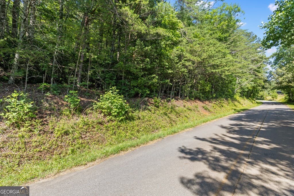 residential lot for sale at 2 AC Ritchie Creek Road, Blue Ridge, GA 30513 — photo 4