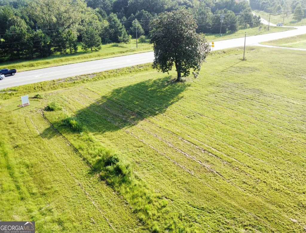 unimproved land for sale at 19477 US Highway 80, Brooklet, GA 30415 — photo 2