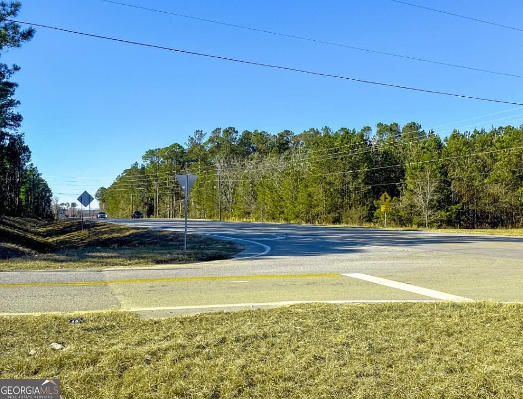 unimproved land for sale at 19477 US Highway 80, Brooklet, GA 30415 — photo 6