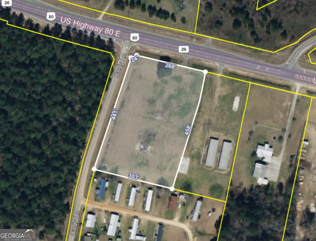 unimproved land for sale at 19477 US Highway 80, Brooklet, GA 30415 — photo 7