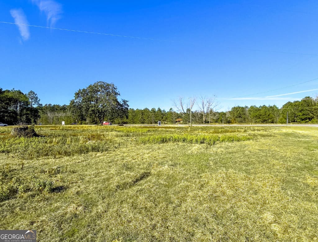 unimproved land for sale at 19477 US Highway 80, Brooklet, GA 30415 — photo 3