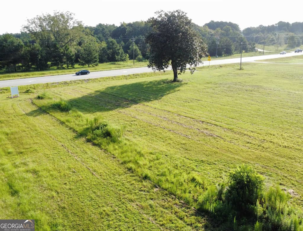 unimproved land for sale at 19477 US Highway 80, Brooklet, GA 30415 — photo 5