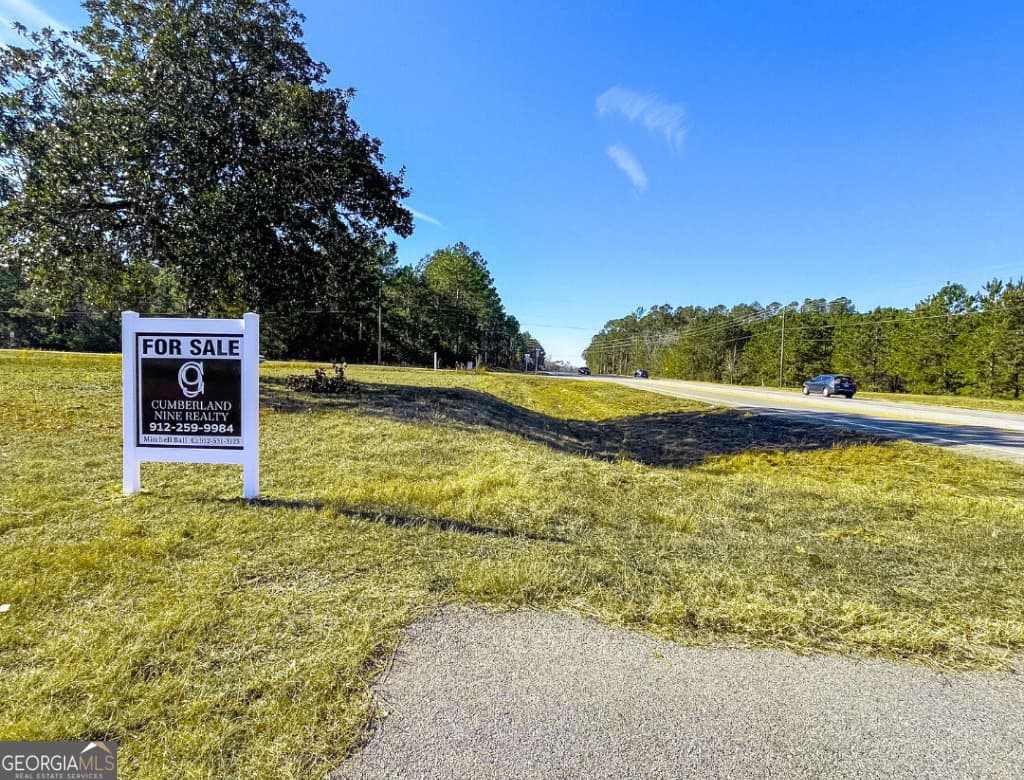 unimproved land for sale at 19477 US Highway 80, Brooklet, GA 30415 — photo 4