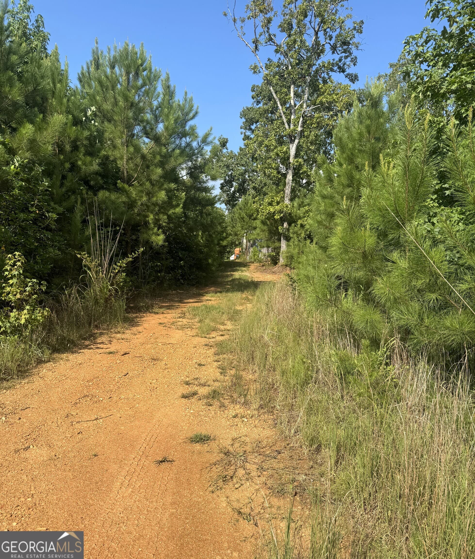 unimproved land for sale at 0 Co Rd 49, Muscadine, AL 36269 — photo 2