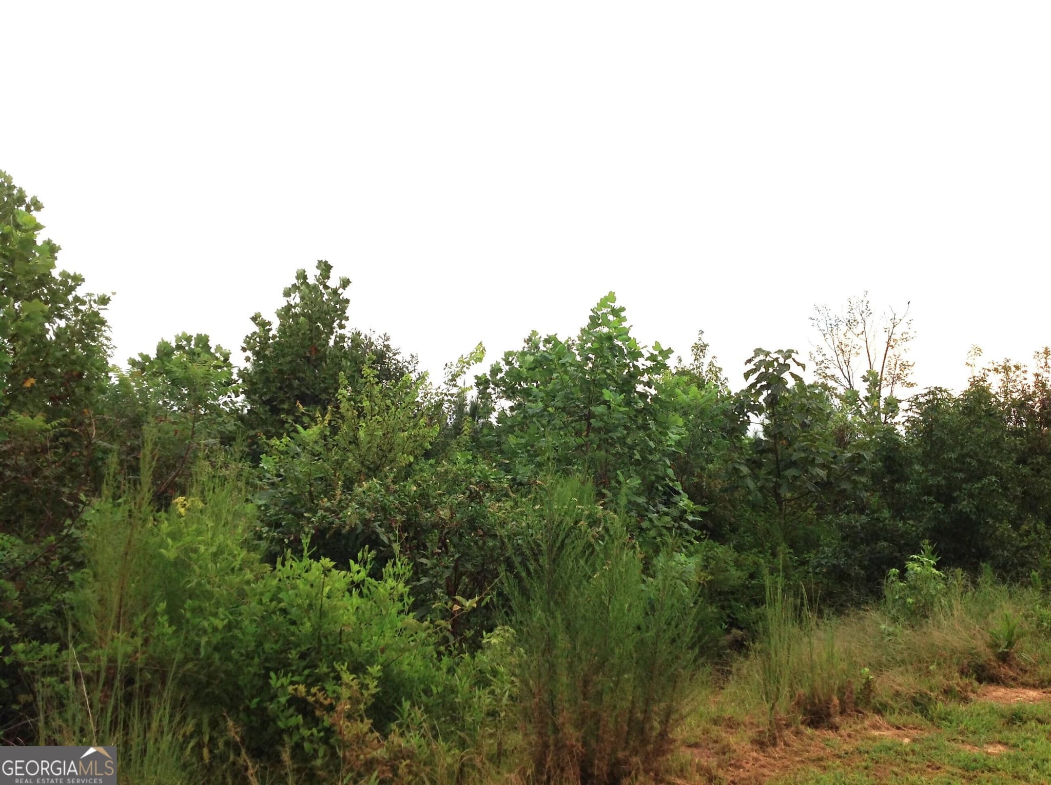 unimproved land for sale at 0 Co Rd 49, Muscadine, AL 36269 — photo 7