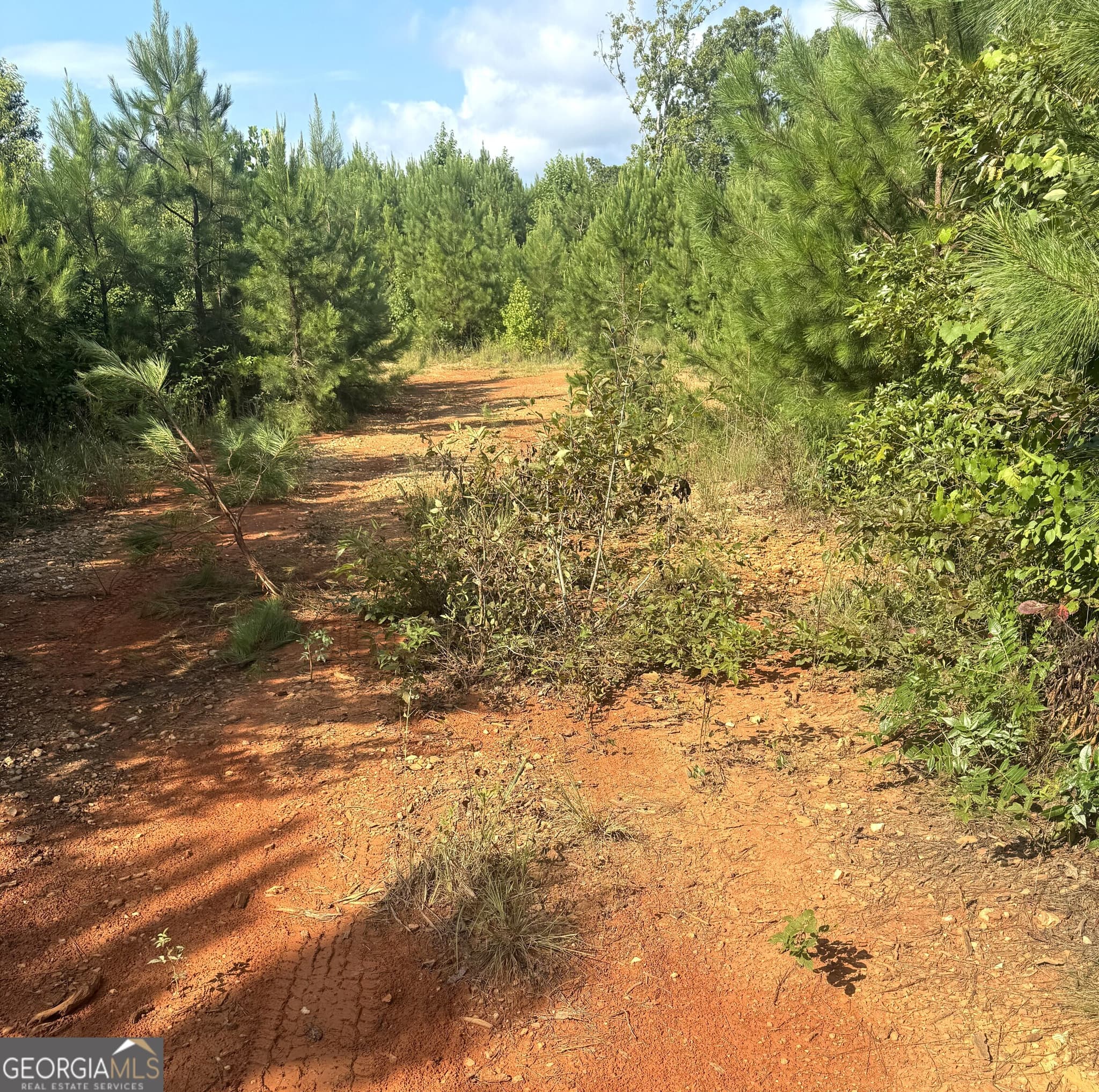 unimproved land for sale at 0 Co Rd 49, Muscadine, AL 36269